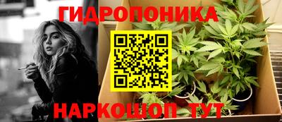 spice Заводоуковск
