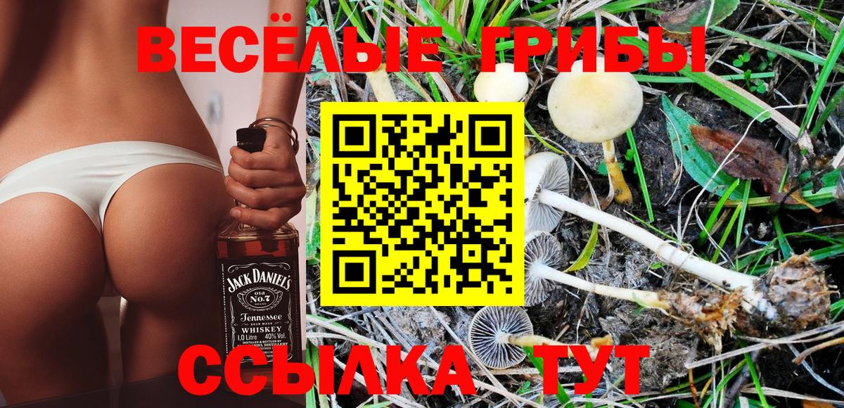 Фрязино  Галлюциногенные грибы Magic Shrooms  даркнет сайт  Вход с VPN 