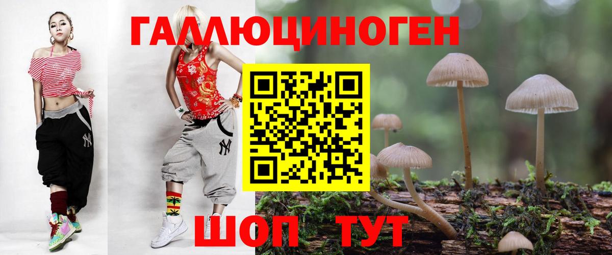 Псилоцибиновые грибы Cubensis Фрязино